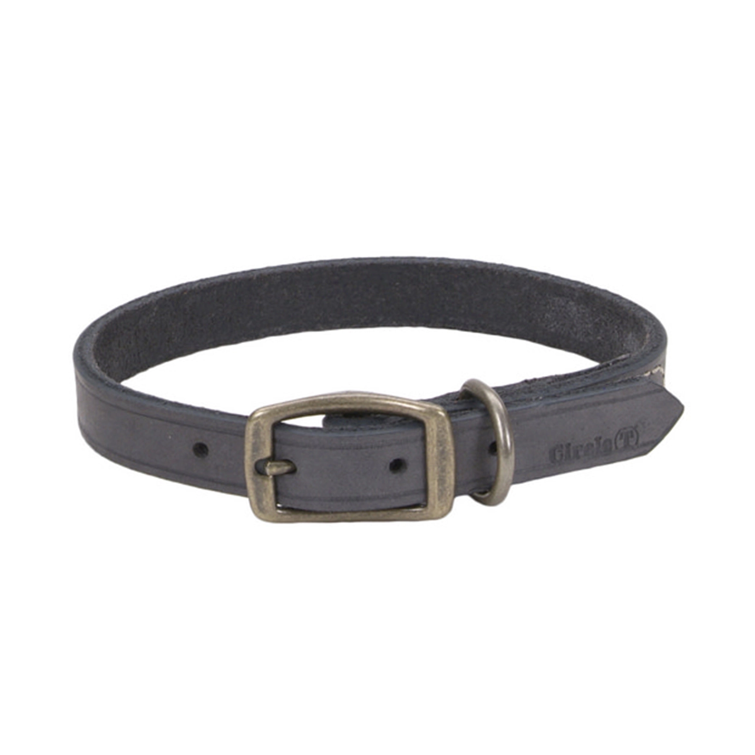 Circle T® Rustic Leather Town Dog Collar, Large