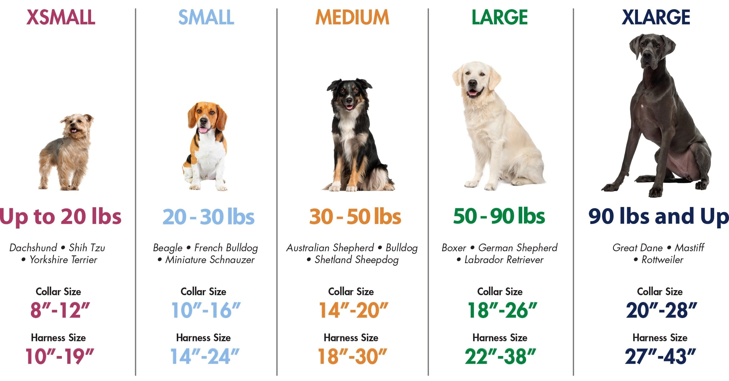 Coastal Pet Products Ocean K9 Explorer Brights Reflective Adjustable Dog Collar