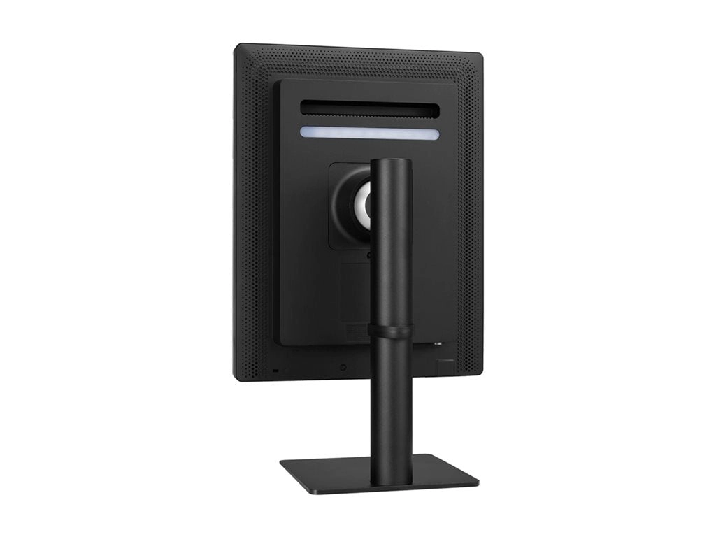 LG 21HQ613D-B - LED monitor - 5MP - color - 21.3 - 2048 x 2560 - IPS - 1100 cd/mï¿½ - 1800:1 - 5 ms - 2xDVI-D