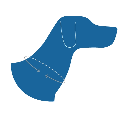 RC Pets Eco Clip Collar for Dogs in Surfside Pattern