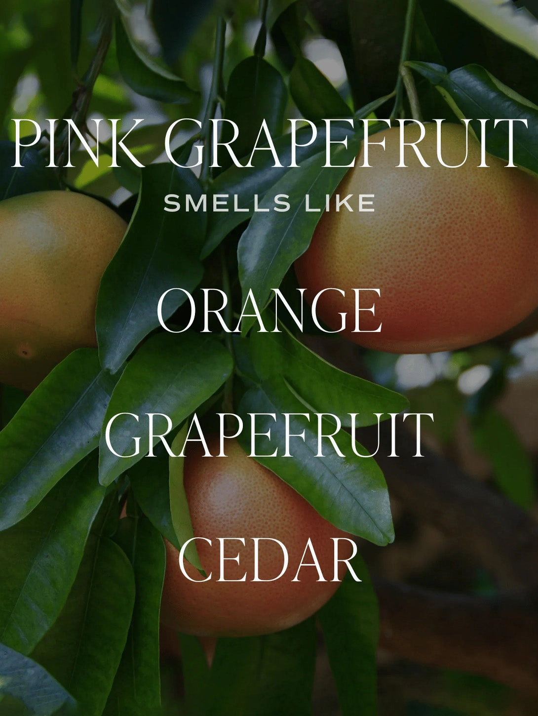 Tinted Glass Soy Candle - Pink Grapefruit